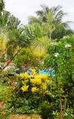 Туры в отель Garden Bungalows Resort