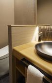 Туры в отель Rinn Shirakawa South