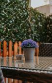 Туры в отель Seven Dreams Suites