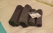Туры в отель Sakura Villa Osaka