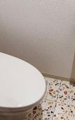 Туры в отель Sakura Villa Osaka