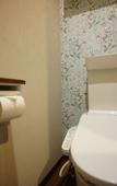 Туры в отель Rona Hotel