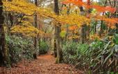 Туры в отель Hakone Guesthouse toi - Hostel