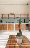 Туры в отель Yucca Villas