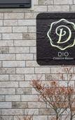 Туры в отель Dio