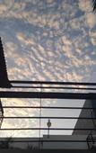 Туры в отель Hotel Mariachi by Kavia 5th Av
