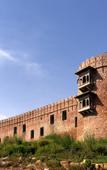 Туры в отель Six Senses Fort Barwara