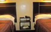 Туры в отель Dynasty Hotel and Suites New York LaGuardia Hotel