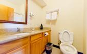 Туры в отель Dynasty Hotel and Suites New York LaGuardia Hotel