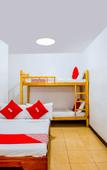 Туры в отель Mye Tourist Inn