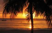 Туры в отель S Hotel Montego Bay - Luxury Boutique All Inclusive Hotel