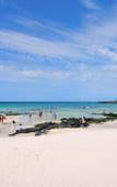 Туры в отель Jeju Dalbeach Pension