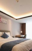 Туры в отель HEJING HOTEL (ShenzhenFutianPort Convention and Exhibition Center Store)