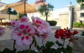 Туры в отель Garni Hotel Koral