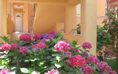 Туры в отель Garni Hotel Koral