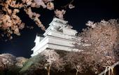 Туры в отель Aizu Higashiyama Onsen, Tsuki no Akari