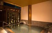 Туры в отель Aizu Higashiyama Onsen, Tsuki no Akari
