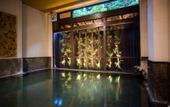 Туры в отель Aizu Higashiyama Onsen, Tsuki no Akari