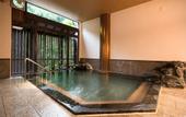 Туры в отель Aizu Higashiyama Onsen, Tsuki no Akari