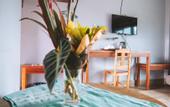 Туры в отель Faraway Suites - Hostel