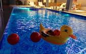 Туры в отель Faraway Suites - Hostel