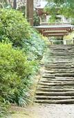 Туры в отель Purpose Resort Ocean View Kamakura