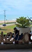 Туры в отель Purpose Resort Ocean View Kamakura