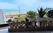 Туры в отель Purpose Resort Ocean View Kamakura