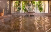 Туры в отель SUPER HOTEL Beppu Ekimae