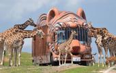 Туры в отель SUPER HOTEL Beppu Ekimae