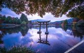 Туры в отель SUPER HOTEL Beppu Ekimae