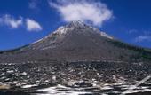 Туры в отель SUPER HOTEL Beppu Ekimae