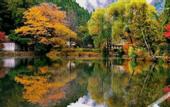Туры в отель SUPER HOTEL Beppu Ekimae