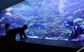 Туры в отель SUPER HOTEL Beppu Ekimae