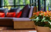 Туры в отель Them5 Residence