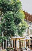 Туры в отель W1@Bangkoknoi Hotel