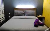 Туры в отель Classical Boutique Hotel