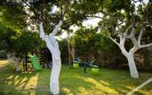 Туры в отель Akroyali Hotel & Villas