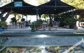 Туры в отель Akroyali Hotel & Villas