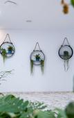 Туры в отель Hotel Ventus