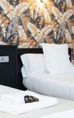 Туры в отель Hotel Ventus