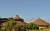 Туры в отель Kilima Safari Camp