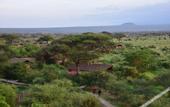 Туры в отель Kilima Safari Camp