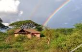 Туры в отель Kilima Safari Camp