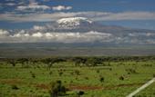 Туры в отель Kilima Safari Camp