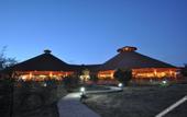 Туры в отель Kilima Safari Camp