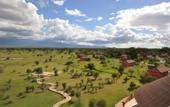 Туры в отель Kilima Safari Camp