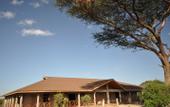 Туры в отель Kilima Safari Camp