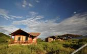Туры в отель Kilima Safari Camp
