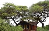 Туры в отель Kilima Safari Camp